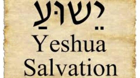 Yeshua Is The Name  Love Insights